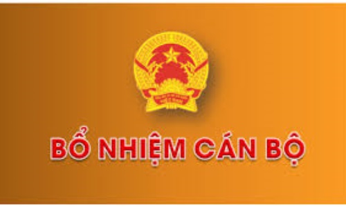 Thủ tướng Chính phủ bổ nhiệm một số lãnh đạo